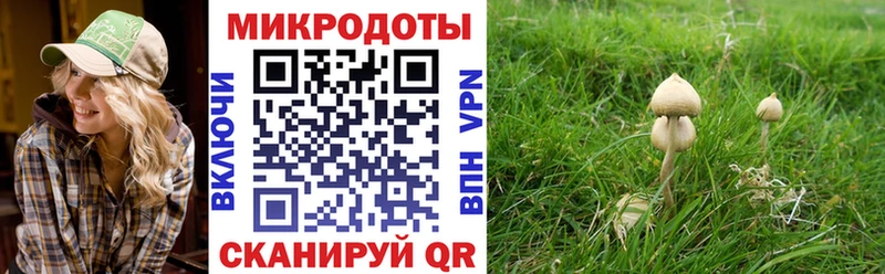 Псилоцибиновые грибы GOLDEN TEACHER  Борисоглебск 